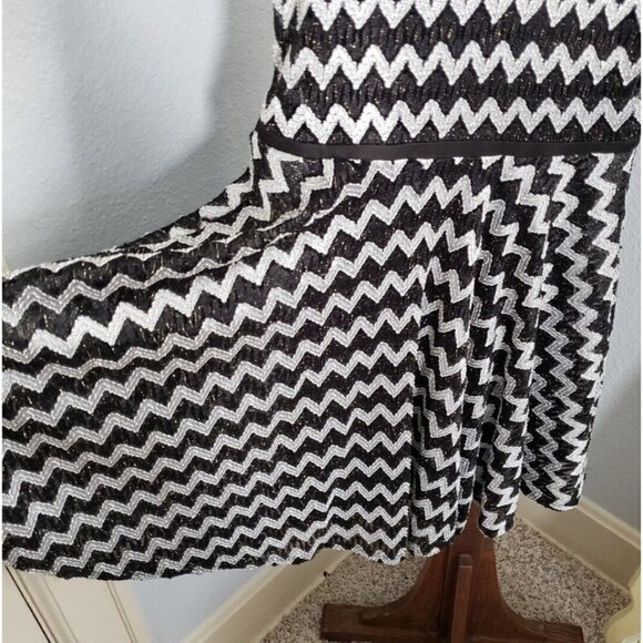Studio Y Sz XS Black White Chevron Herringbone Lace Fit and Flare Dress Metallic - Picture 10 of 15
